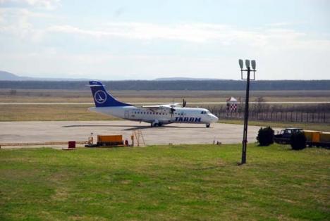 Vânătoarea pe pista Aeroportului: Animalele sălbatice care puneau în pericol siguranţa traficului aerian, împuşcate 